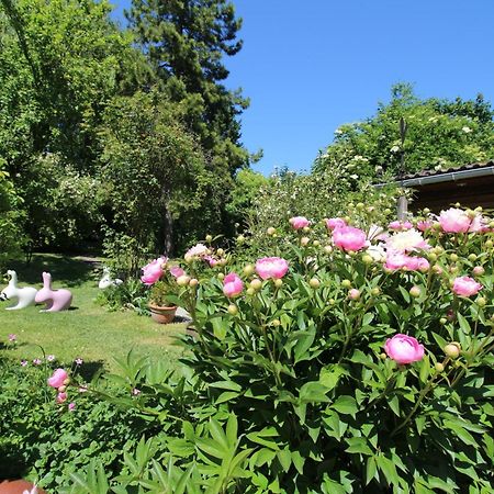 La Chaumiere Du Tordoir Bed & Breakfast Les Rues-des-Vignes ภายนอก รูปภาพ
