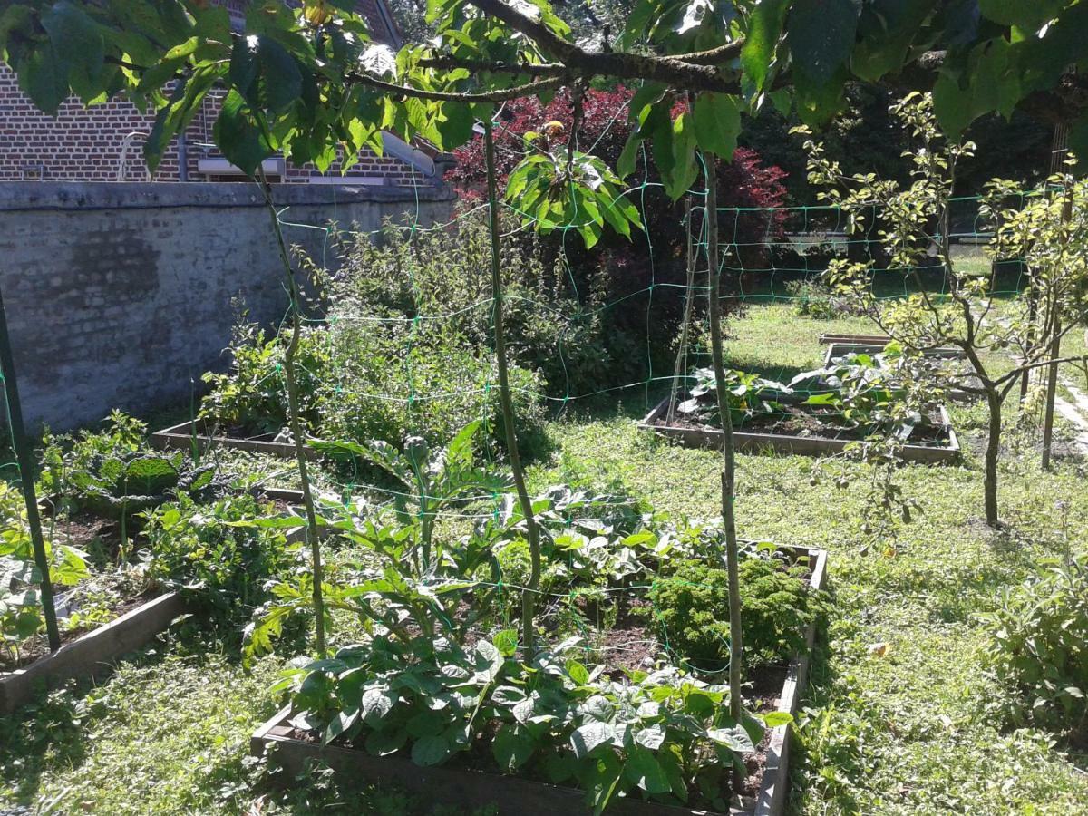 La Chaumiere Du Tordoir Bed & Breakfast Les Rues-des-Vignes ภายนอก รูปภาพ